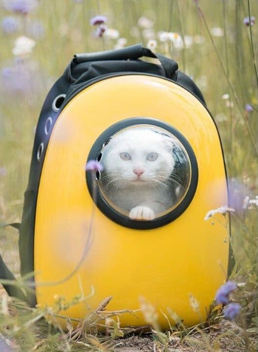 猫キャリーバッグ 宇宙船型透明窓付き猫用リュックキャリー