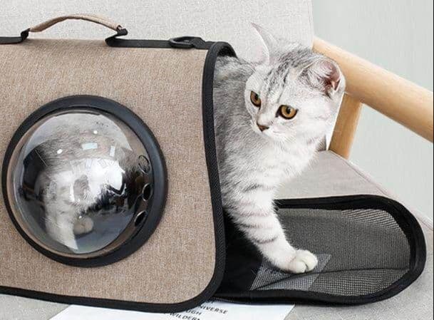 猫キャリーバッグ 丸窓通気孔付き猫用手提げ外出鞄