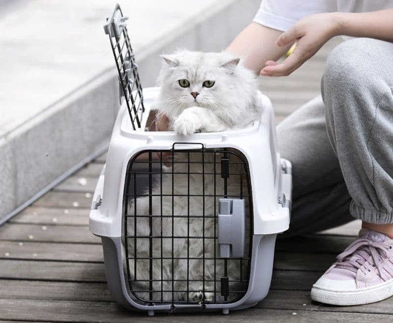 猫キャリーバッグ 航空機対応上開き天窓付き猫用移動キャリー
