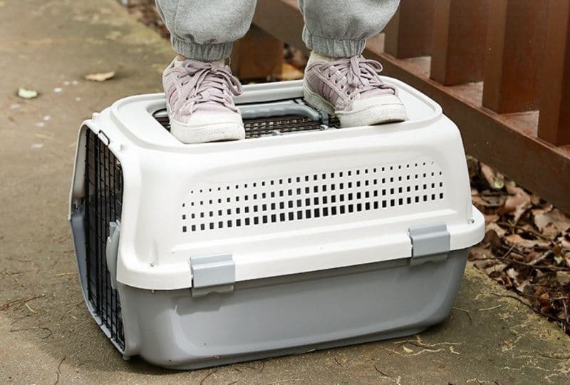 猫キャリーバッグ 航空機対応上開き天窓付き猫用移動キャリー