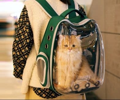 猫キャリーバッグ 全景窓付き宇宙船型猫用リュック式キャリー