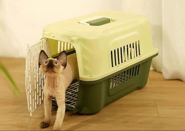 猫キャリーバッグ 超大型通気性抜群猫用キャリーバッグ