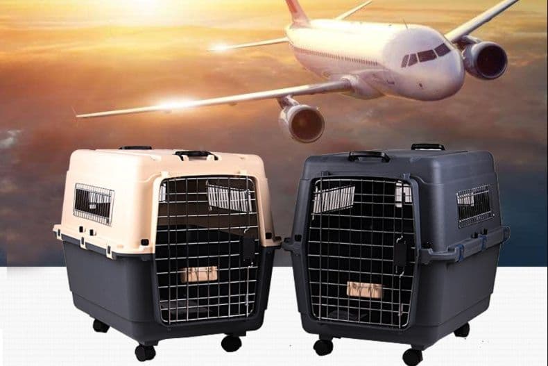 猫キャリーバッグ 飛行機対応大型ハードケース猫キャリーバッグ