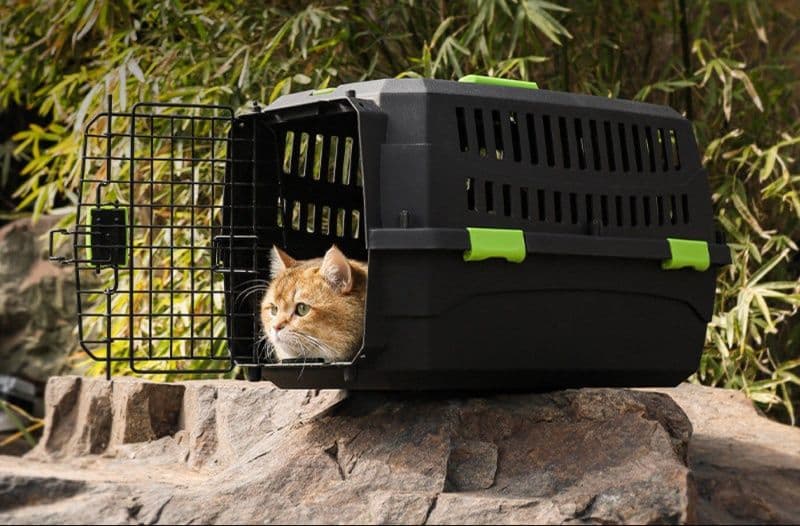 猫キャリーバッグ 国際航空基準対応 通気性抜群 ハードタイプ猫用航空箱