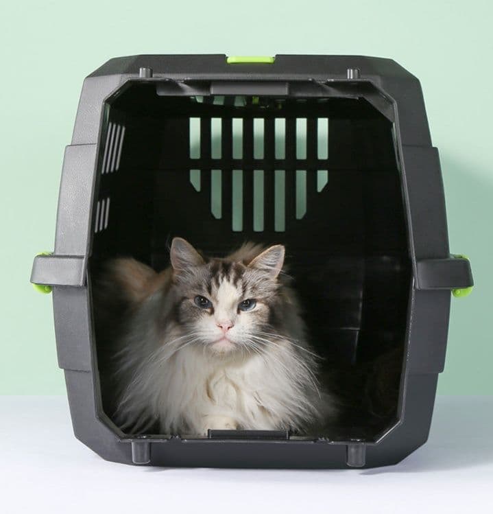 猫キャリーバッグ 国際航空基準対応 通気性抜群 ハードタイプ猫用航空箱