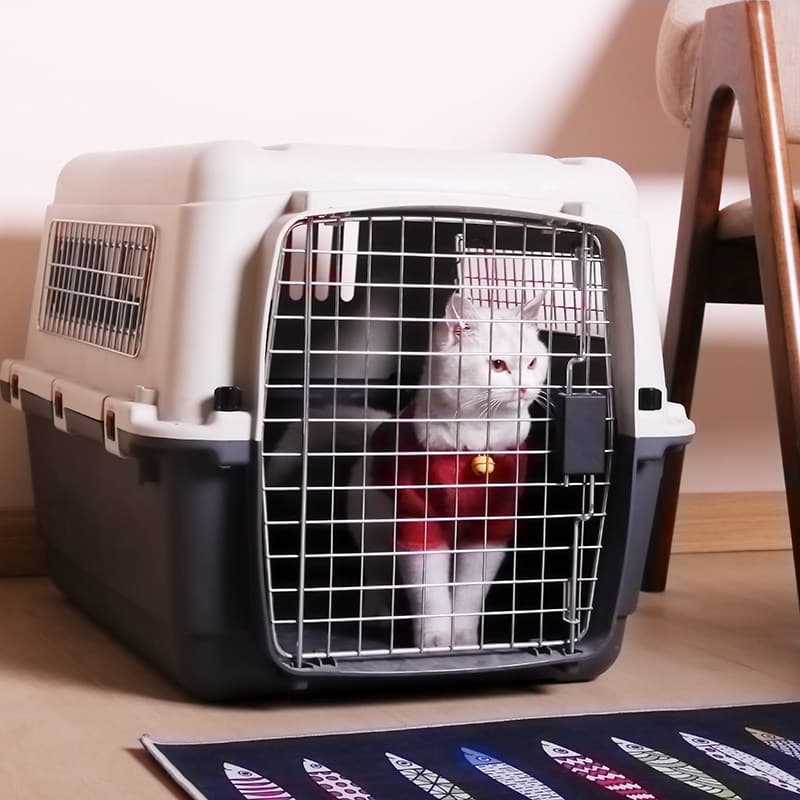 猫キャリーバッグ 飛行機対応大型ハードケース猫キャリーバッグ