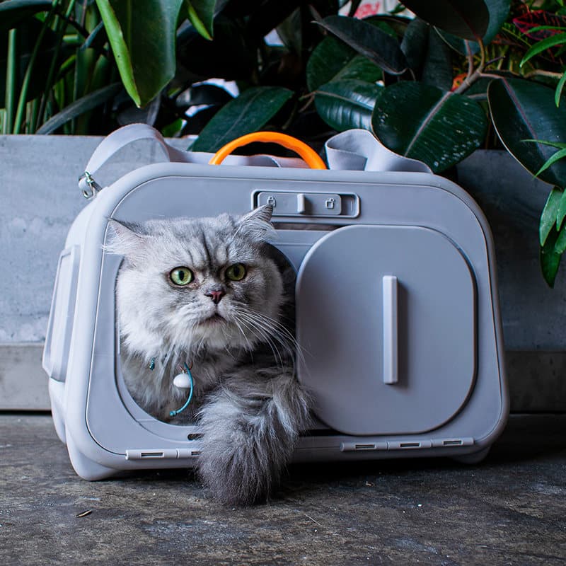 猫キャリーバッグ 丸みのある樹脂製ハード猫用キャリーバッグ